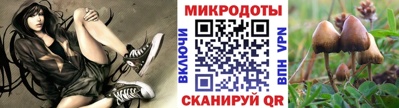 Купить где  Рубцовск  Псилоцибиновые грибы Psilocybine cubensis 