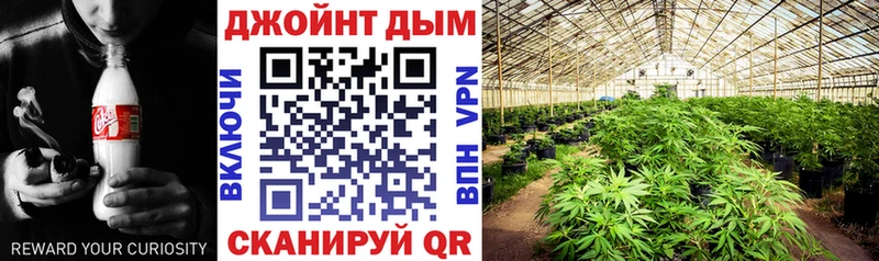 Купить закладки  Рубцовск  МАРИХУАНА VHQ 